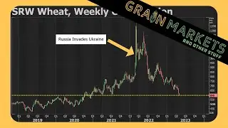Grain COLLAPSE Continues - Wheat Trades 2-Year Lows