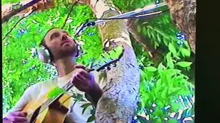 Ryan Pollie - Live in a Tree (FULL VERSION)