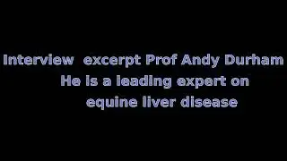 Ragwort poisoning an Interview with Professor Andy durham Plus extra info
