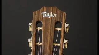Taylor Custom TF Guitar at Guitar Gallery
