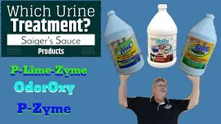 How to Remove Urine Stains and Odor