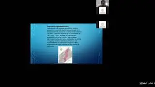 IPEA 4 Ejec 14 11 20 2pm Geolog Yacim Fluid S1
