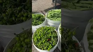 Farmer markets Brooklyn Park Minnesota