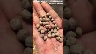 40-800kg/h floating fish feed machine for fish farmers use