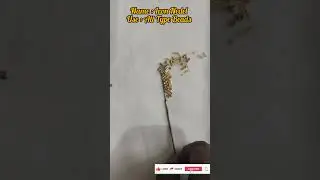Beads Needle Type 🔥 Beginner ku Easy #embroidery#beads#aati class #beginners