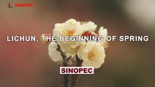 Lichun, The Beginning of Spring