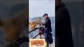 Hilarious Animal Fails & Funny Moments! 🐾😂 #animalcomedy