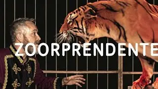 Circo de Nadal “ Zoorprendente” - Eduardo Belltall  esotico  (Valencia 2019)