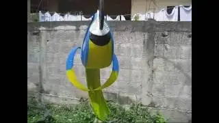 PINTANDO UN GUACAMAYO  AZUL  DE LLANTA