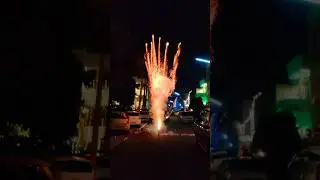 Palm Garden || Skyshots #patakhe #diwali #crackers #fireworks #cock