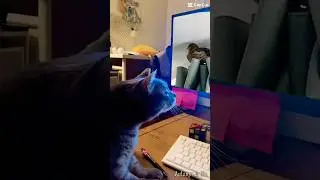 Use zoom chat safely!