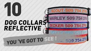 Dog Collars Reflective // Top 10 Most Popular