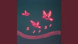 Neon Flight