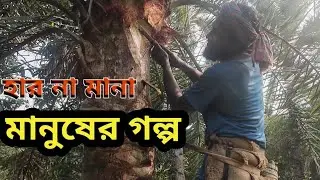 সংগ্রামী মানুষের গল্প। Tales of fighting people।দেখব বাংলাদেশ 