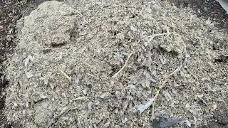 Can you use Pigeon Manure in your Garden????