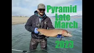 Pyramid lake fly fishing in late March 2023