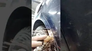 Счистили до дыр! #кузовнойремонт #детейлинг #покраска