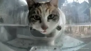 Ms. Angel performs a feeder inspection
