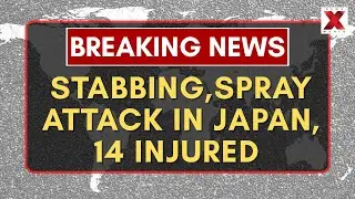 Spray Attack in Japan | Fourteen injured after Factory Stabbing in Shizuoka | Japan Breaking News