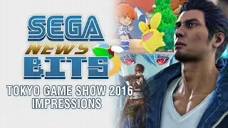 Tokyo Game Show 2016 Impressions