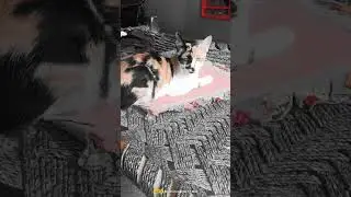 #cat #cartoon #sad #kitten #catbabysitter #escapestory #catfamily #catvideos #animation #heartwrenc