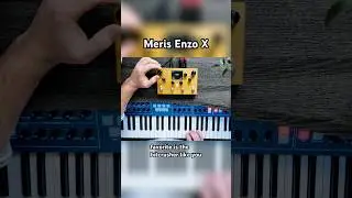 @MerisUs Enzo X: Crafting Lo-Fi Synths with a Bit Crusher #meris