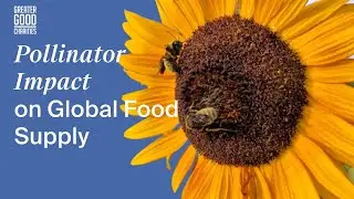 Pollinator Impact on Global Food Supply