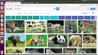 TensorFlow image recognition and machine learning