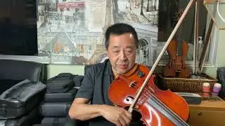 Michael Murphy | SarahGeronimo | Martin Nievera - MAYBE THIS TIME-OPM Violin Viola Cover -Play Along