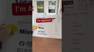 It&rsquo;s finally her turn! 🙏 Read where sweet Missy gets to spend the rest of her life in the comments