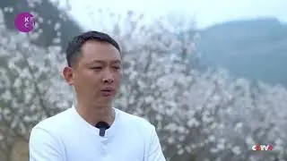 Spring flowers boost rural economy in China