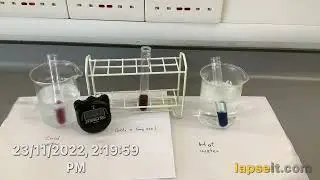 Equilibrium change in colour in cobalt complex ions by changing the temperature