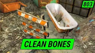 Finding Squeaky Clean Bones | Fallout 4 Unmarked | Ep. 803