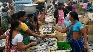 Early Morning Fish Market - Matlapalem near Kakinada Andhra Pradesh INDIA|Ladies Fish marekt