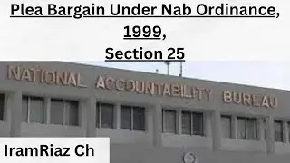 Plea Bargain // Nab Ordinance, 1999 // Iram Riaz Ch