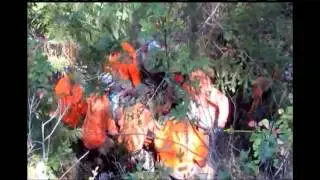 Hiker rescued near Rainie Falls Trail over the weekend