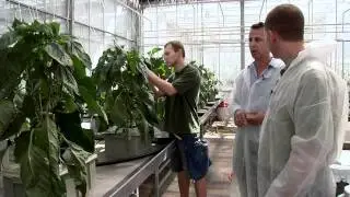 Experiment to Minimize Nutrient Loss in Recyled Water