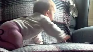 couch crallers