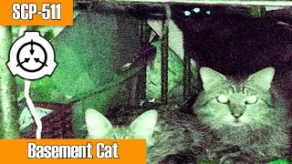 SCP Decoded Reading: SCP-511 Basement Cat