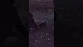 ВсемМираТеплаЗаботыЛюбви🙏💕 #story #мудрость #жизнь #забота #ютуб #sorts #top #funny #video #shorts