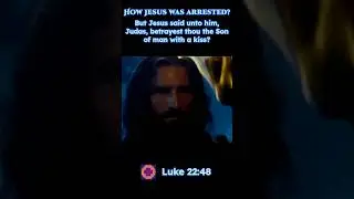 How Jesus was Arrested | The Passion #jesus #biblestories
