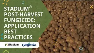 Stadium&reg; post-harvest fungicide: application best practices