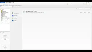 How to Install Newest Version of Pale Moon with iMacros 8.9.7