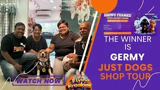My Beagle Germy Won! 🐶 JustDogs Kochi Grooming Package & Shop Tour!