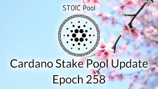 STOIC Pool Update: Epoch 258 - Leaderlogs, Pool Ranking & Stoic The Block Vulture