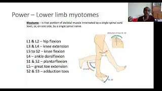 Neurological Examination of Upper & Lower Limbs Medicine by Dr. Praveen Weeratunga