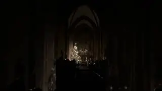 Stille Nacht in der Stiftskirche St Peter und Alexander Aschaffenburg 