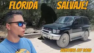 Florida Salvaje: entre cocodrilos, criaturas y secretos del pasado