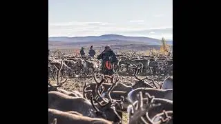 Green Colonialism - How New Mines In Sweden Threaten The Saami