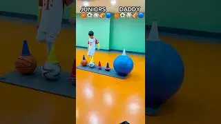 Multi-Ball Cone Challenge &ndash; Can They Land Perfectly? ⚽🏀🏐🏈🎯